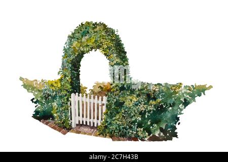 L'eau romantique ivy porte au-dessus de l'entrée de la maison, avec une partie de la clôture verte. Élément de conception de jardin peint à la main, isolé sur fond blanc Banque D'Images