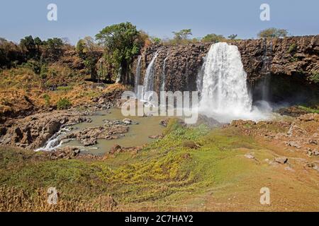 TIS Abay / Blue Nile Falls, chute d'eau sur le Nil Bleu près de Bahir Dar pendant la saison sèche, région d'Amhara, Ethiopie, Afrique Banque D'Images