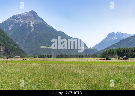 Europe, Autriche, Tyrol, Alpes de l'Ötztal, Ötztal, moissonneuse-batteuse sur un pré avec le Gamskogel en arrière-plan Banque D'Images