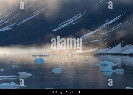 Brouillard fin brûlant; aube arctique; paysage côtier de l'est du Groenland; mer calme avec icebergs; pentes enneigées de montagne dans l'ombre; lumière du soleil qui attrape le f Banque D'Images