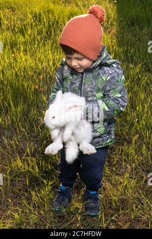 Un petit garçon joue avec un lapin français sur l'herbe verte au printemps. Un petit lapin domestique brun, moelleux, avec de grandes oreilles. Banque D'Images