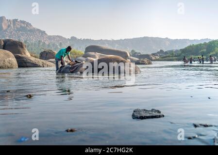 le careur mâle lave l'éléphant du temple dans la rivière Banque D'Images