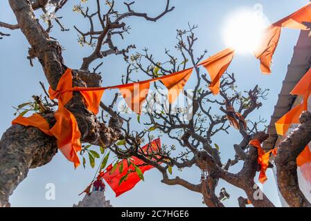 Fanions et drapeaux d'Orangefarbene avec branches torsadées au temple du singe. Banque D'Images