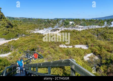 Vue sur les geysers de te Puia, la vallée géothermique de te Whakarewarewa, Rotorua, Nouvelle-Zélande Banque D'Images