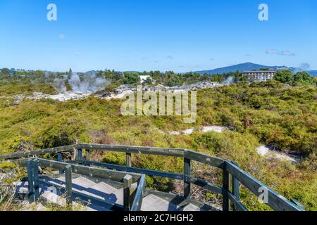 Vue sur les geysers de te Puia, la vallée géothermique de te Whakarewarewa, Rotorua, Nouvelle-Zélande Banque D'Images