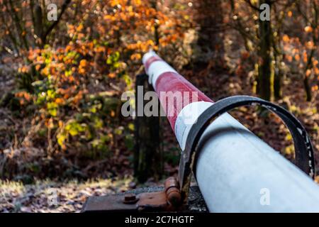 Mise au point sélective d'une porte entourée d'arbres et buissons sur fond flou Banque D'Images