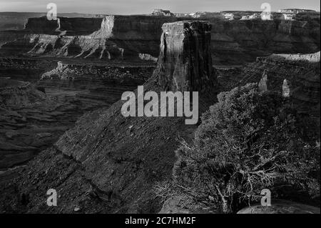 Prise de vue en niveaux de gris des formations rocheuses au milieu du canyon Banque D'Images