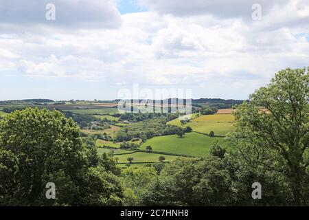 Vue de Combpyne depuis Musbury Castle Iron-age Hill fort, Devon, Angleterre, Grande-Bretagne, Royaume-Uni, Royaume-Uni, Europe Banque D'Images