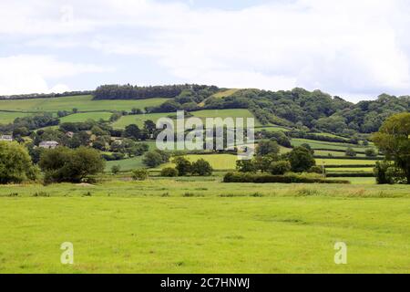 Musbury Castle Iron-age Hill fort, Devon, Angleterre, Grande-Bretagne, Royaume-Uni, Royaume-Uni, Europe Banque D'Images