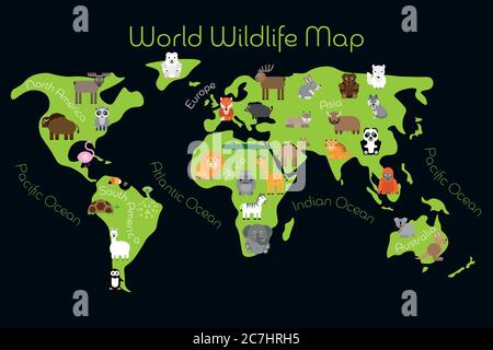 Carte de la faune mondiale - continents avec une faune typique. Animaux amusants. Tapis ou affiche pour enfants. Illustration vectorielle. Illustration de Vecteur