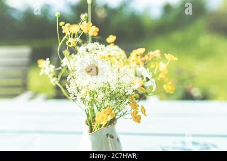 Printemps - le jardin fleurit dans la lumière du soleil. Marisines et tasses dans un vase dans le jardin. Banque D'Images