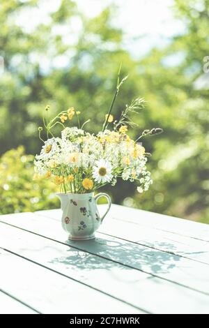Printemps - le jardin fleurit dans la lumière du soleil. Marisines et tasses dans un vase dans le jardin. Banque D'Images
