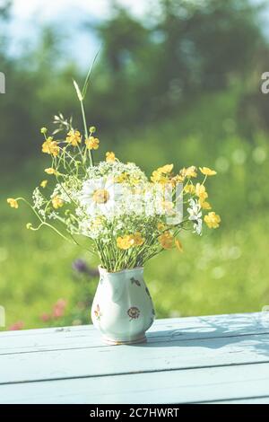 Printemps - le jardin fleurit dans la lumière du soleil. Marisines et tasses dans un vase dans le jardin. Banque D'Images