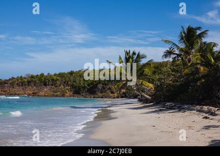 Un grand cliché de la plage de Zoni à Culebra, Porto Rico avec la mer des Caraïbes, les palmiers et les blancs en vue Banque D'Images