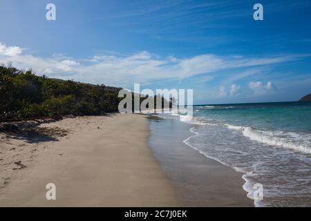 Un grand cliché de la plage de Zoni à Culebra, Porto Rico avec la mer des Caraïbes, les palmiers et les blancs en vue Banque D'Images