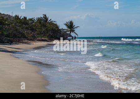 Un grand cliché de la plage de Zoni à Culebra, Porto Rico avec la mer des Caraïbes, les palmiers et les blancs en vue Banque D'Images