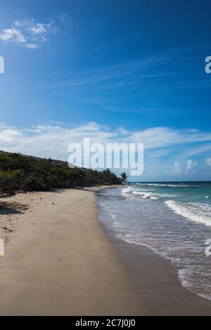 Un grand cliché de la plage de Zoni à Culebra, Porto Rico avec la mer des Caraïbes, les palmiers et les blancs en vue Banque D'Images