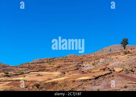 Agriculture de haute altitude dans le Parque Nacional Tototoro, Parc national de Torotoro, Andes, Departamento Potosí, Bolivie, Amérique latine Banque D'Images