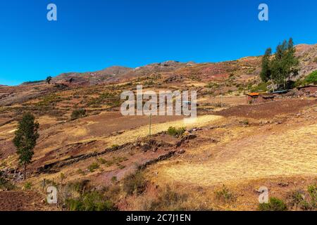 Agriculture de haute altitude dans le Parque Nacional Tototoro, Parc national de Torotoro, Andes, Departamento Potosí, Bolivie, Amérique latine Banque D'Images