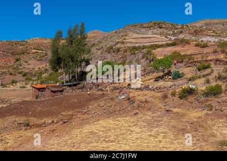 Agriculture de haute altitude dans le Parque Nacional Tototoro, Parc national de Torotoro, Andes, Departamento Potosí, Bolivie, Amérique latine Banque D'Images