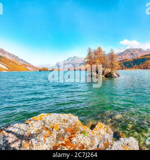 Vues pittoresques sur le lac de Sils (Silsersee) avec de petites îles. Scène automnale colorée des Alpes suisses. Lieu: Maloya, région de l'Engadine, Grisons Banque D'Images