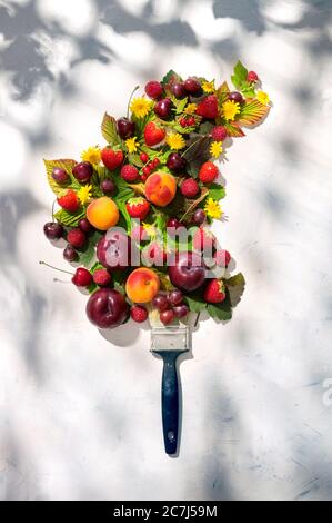 Fruits d'été, fleurs et feuilles dans une composition conceptuelle d'un pinceau et de la peinture trace sur fond blanc avec des ombres de feuilles Banque D'Images