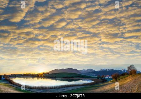 Lever de soleil sur un étang avec vue sur les Alpes d'Allgaeu avec de beaux nuages, Allemagne, Bavière, Oberbayern, haute-Bavière Banque D'Images