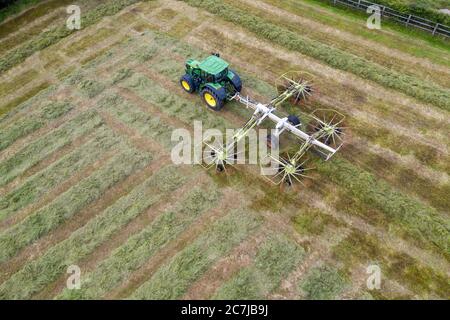Photographie de drone aérien de récolte d'ensilage avec l'ensileuse automotrice de classe Jaguar 970 dans le comté rural de Kildare, en Irlande Banque D'Images