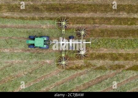 Photographie de drone aérien de récolte d'ensilage avec l'ensileuse automotrice de classe Jaguar 970 dans le comté rural de Kildare, en Irlande Banque D'Images