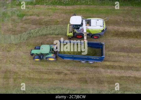 Photographie de drone aérien de récolte d'ensilage avec l'ensileuse automotrice de classe Jaguar 970 dans le comté rural de Kildare, en Irlande Banque D'Images