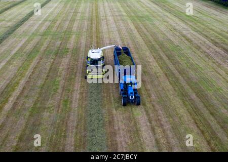 Photographie de drone aérien de récolte d'ensilage avec l'ensileuse automotrice de classe Jaguar 970 dans le comté rural de Kildare, en Irlande Banque D'Images