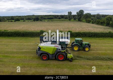 Photographie de drone aérien de récolte d'ensilage avec l'ensileuse automotrice de classe Jaguar 970 dans le comté rural de Kildare, en Irlande Banque D'Images