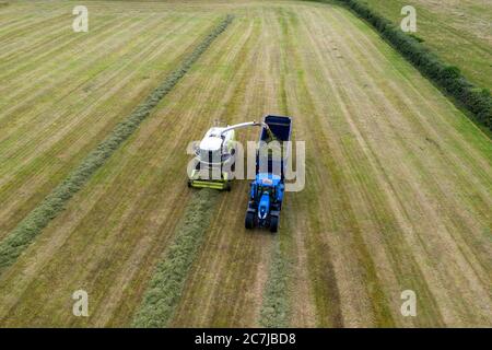 Photographie de drone aérien de récolte d'ensilage avec l'ensileuse automotrice de classe Jaguar 970 dans le comté rural de Kildare, en Irlande Banque D'Images