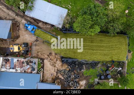 Photographie de drone aérien de récolte d'ensilage avec l'ensileuse automotrice de classe Jaguar 970 dans le comté rural de Kildare, en Irlande Banque D'Images