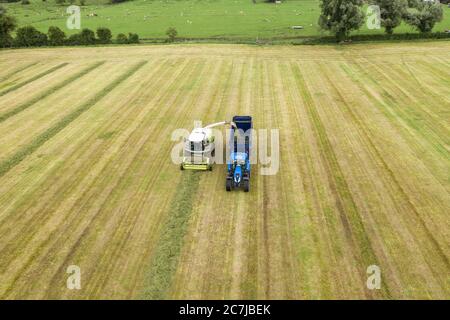 Photographie de drone aérien de récolte d'ensilage avec l'ensileuse automotrice de classe Jaguar 970 dans le comté rural de Kildare, en Irlande Banque D'Images