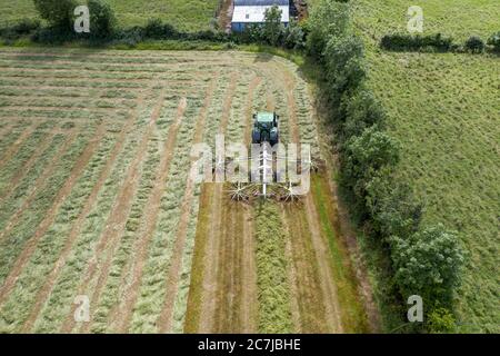 Photographie de drone aérien de récolte d'ensilage avec l'ensileuse automotrice de classe Jaguar 970 dans le comté rural de Kildare, en Irlande Banque D'Images