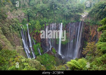 Cascade de Tumpak Sewu à Java-est, Indonésie Banque D'Images