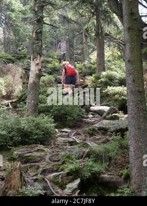 Randonneurs sur l'Osser, Bavarois forêt, Bavière, Allemagne Banque D'Images