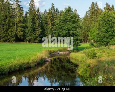 Große Ohe, Großer Filz / Klosterfilz, Parc National, Bavarois forêt, Bavière, Allemagne Banque D'Images