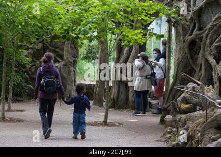 Une famille visite l'enclos Banyan Wilds au Woodland Park Zoo de Seattle le 17 juillet 2020. Le zoo a rouvert après que le comté de King a progressé vers les phas Banque D'Images
