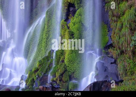 Cataratas del Iguaza, Parque Nacional Iguaza, provincia de Misiones, en el Nordeste, Argentine, Amérique du Sud Banque D'Images