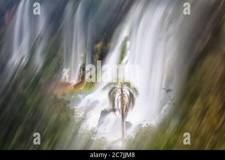 Cataratas del Iguaza, Parque Nacional Iguaza, provincia de Misiones, en el Nordeste, Argentine, Amérique du Sud Banque D'Images