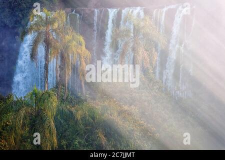 Cataratas del Iguaza, Parque Nacional Iguaza, provincia de Misiones, en el Nordeste, Argentine, Amérique du Sud Banque D'Images