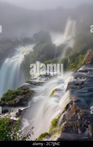 Cataratas del Iguaza, Parque Nacional Iguaza, provincia de Misiones, en el Nordeste, Argentine, Amérique du Sud Banque D'Images