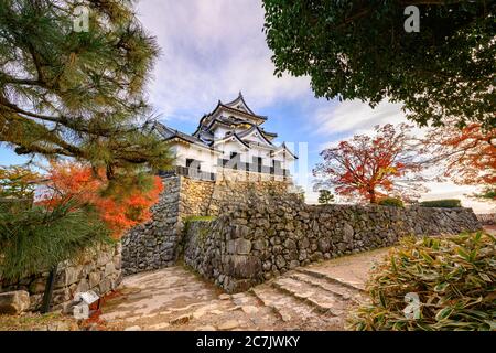 Magnifique ciel en automne au château de Hikone, le château de Hikone est l'un des 12 châteaux originaux au Japon - Préfecture de Shiga. Banque D'Images