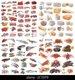 Groupe d'alimentation in front of white background Banque D'Images