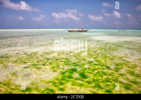 Les pêcheurs de la mer de Nungwi, Zanzibar, Tanzanie, Afrique de l'est Banque D'Images