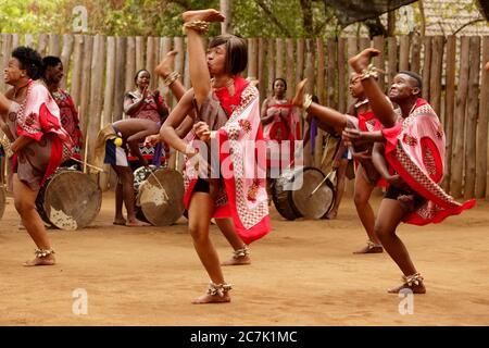 Danseurs traditionnels au spectacle culturel swazi au village swazi Matsamo, Afrique australe, Swaziland, Hohho, Mbabane Banque D'Images