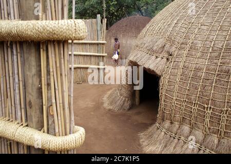 Danseurs traditionnels au spectacle culturel swazi au village swazi Matsamo, Afrique australe, Swaziland, Hohho, Mbabane Banque D'Images