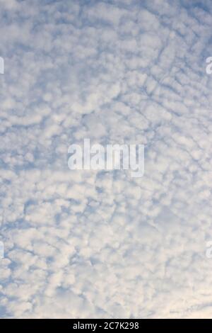 Les nuages gris et blancs ressemblent à de la laine de mouton ou à des vagues. Banque D'Images